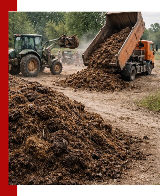 Доставка навоза самосвалами в Южноуральске для сельхозпотребностей